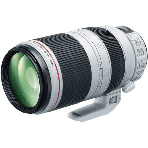 Canon EF 100-400mm F4.5-5.6 L IS USM レンズ - レンズ(ズーム)