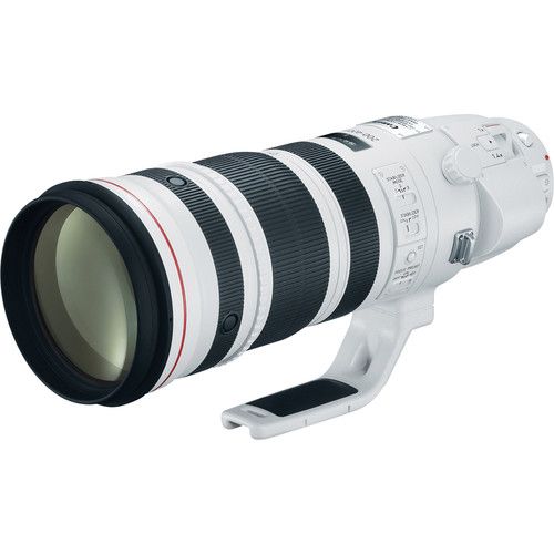 Canon EF 200-400mm f/4L IS USM Extender Lens
