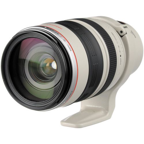 Canon EF 28-300mm F3.5-5.6L IS USM - レンズ(ズーム)