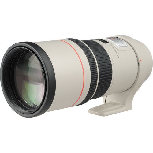 canon 300mm f4