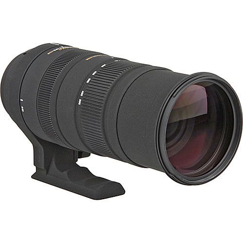Sigma Lensa 150-500mm F5-6.3 APO DG OS HSM – Megakamera.com