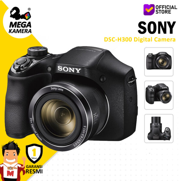 sony hd handy cam