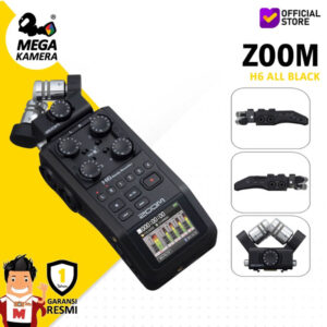 ZOOM H6